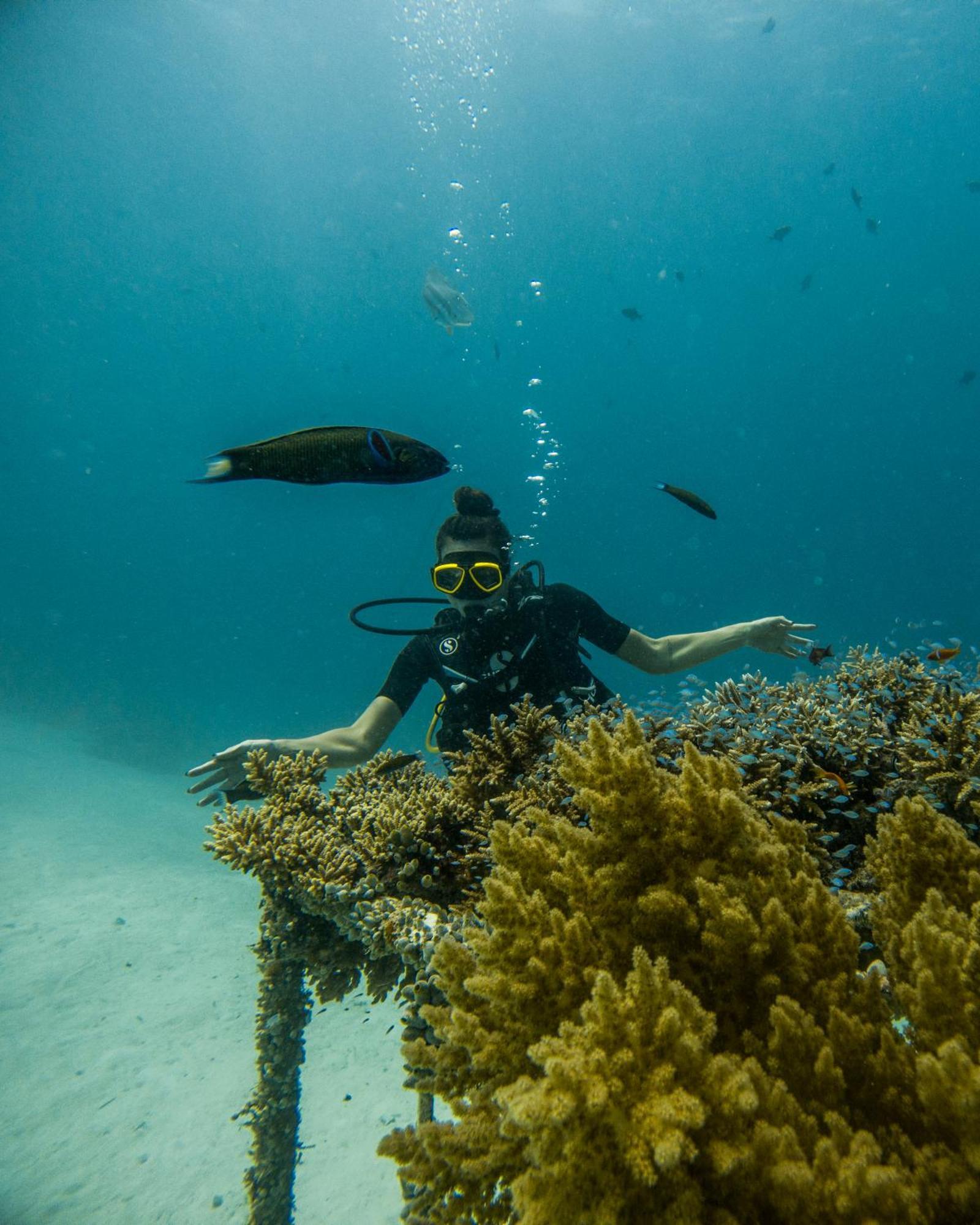 Grand Park Kodhipparu Maldives Otel Baros Island Dış mekan fotoğraf